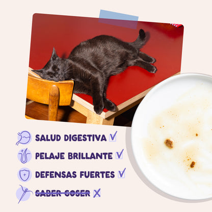 Sobres de comida húmeda Pato &amp; Pavo en Salsa para Gatos Adultos | Edgard &amp; Cooper 85 g