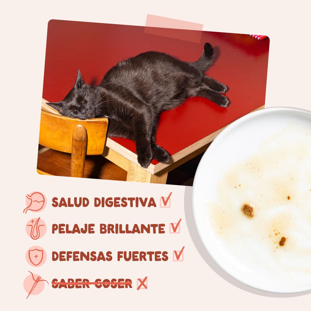 Sobre de Comida Húmeda Trucha & Pollo en Salsa para Gatos Edgard & Cooper 85 g