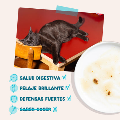 Sobres de comida húmeda Atún &amp; Pollo en Salsa para Gatos Adultos | Edgard &amp; Cooper 85 g