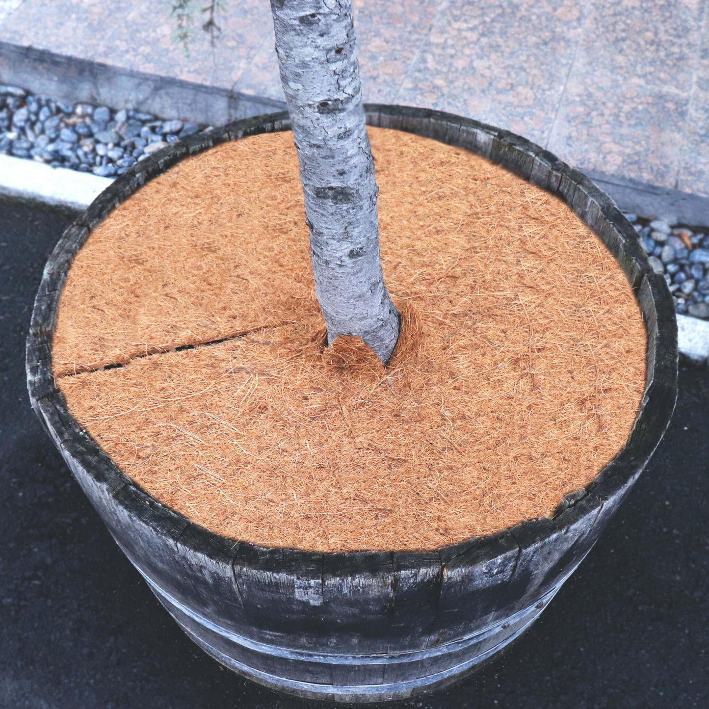 4 Discos Mulching De Coco 37cm Estera De Fibra De Coco Estera Protectora De Plantas De Fibra De Coco Coco_4