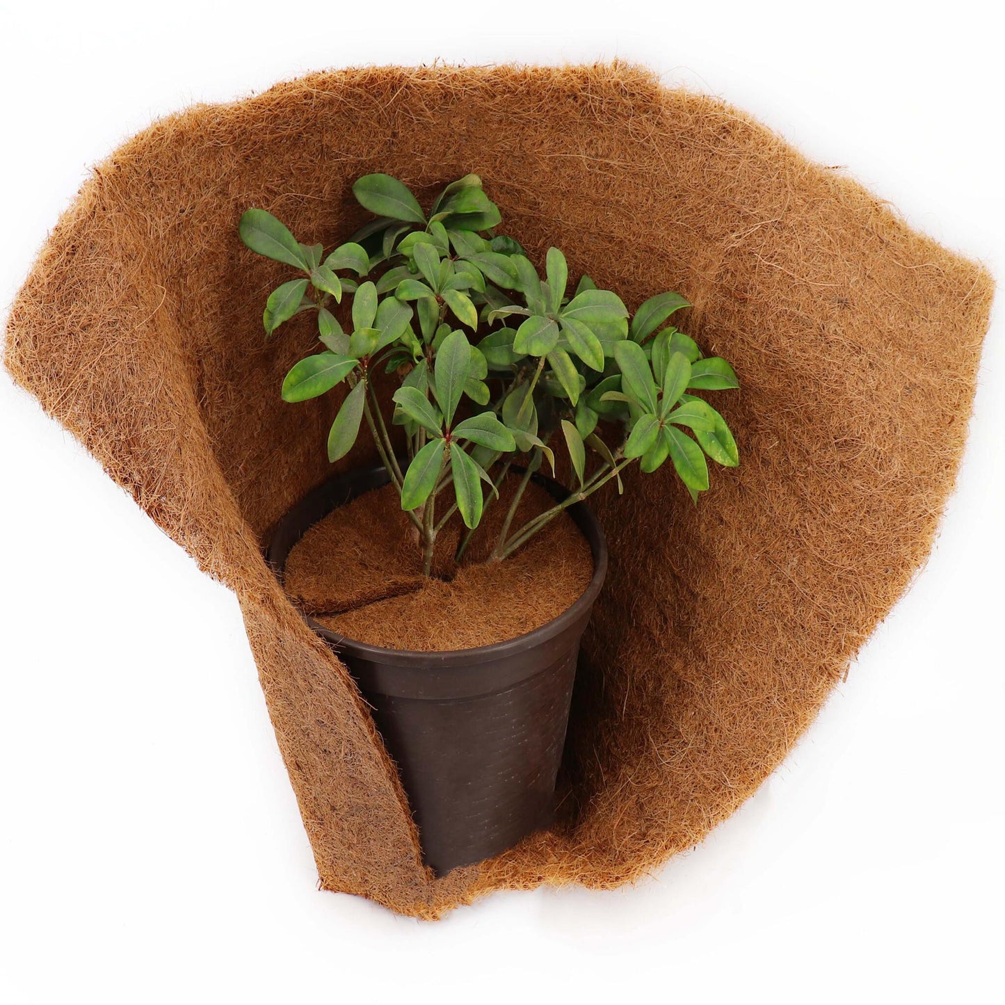 4 Discos Mulching De Coco 37cm Estera De Fibra De Coco Estera Protectora De Plantas De Fibra De Coco Coco_5