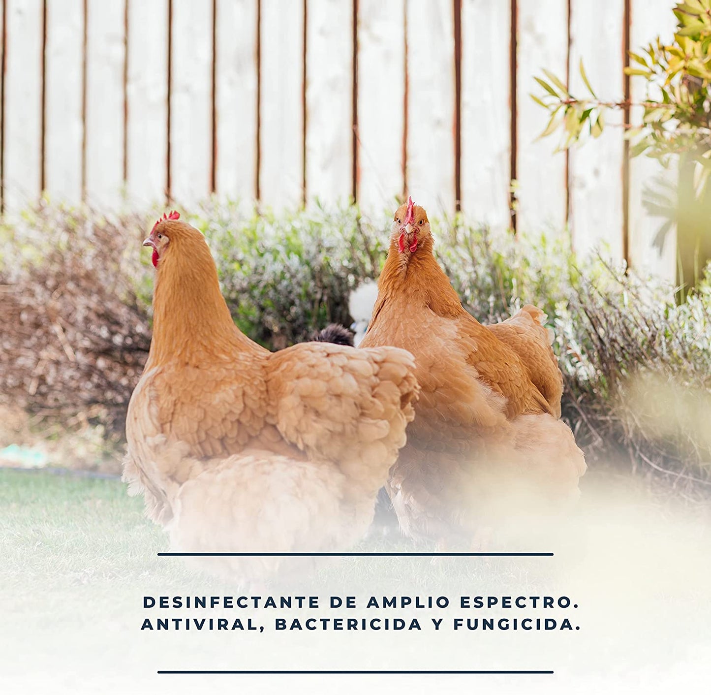 Espray Para Limpieza Instalaciones De Animales Y Material Limpieza De Gallineros Y Perreras Soluclean Espray 1 Litro_3