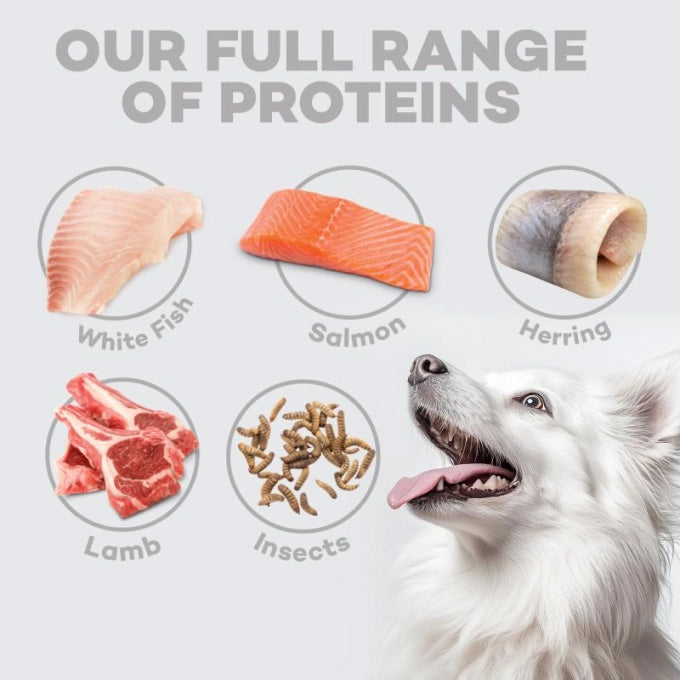 Nature's Protection White Dog Pienso grain free Cordero adulto razas pequeñas 4 Kg