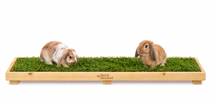 Petground, Cama Para Conejos, Caja De Madera, Accesorio, Mueble Xl: 120 X 42 Cm_0