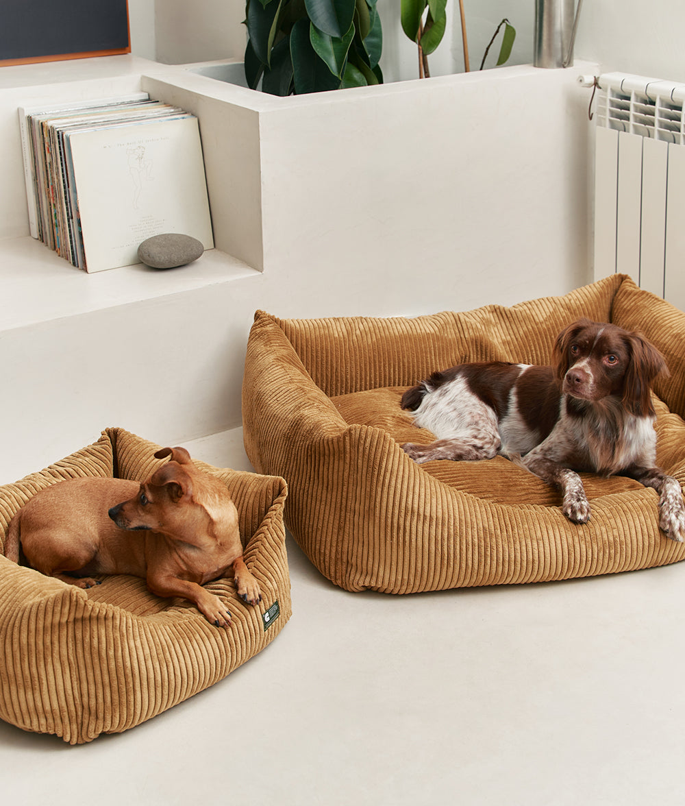 Cafide Cama De Material Reciclado Para Perro Con Tejido De Pana Mostaza. Modelo Snozy._2