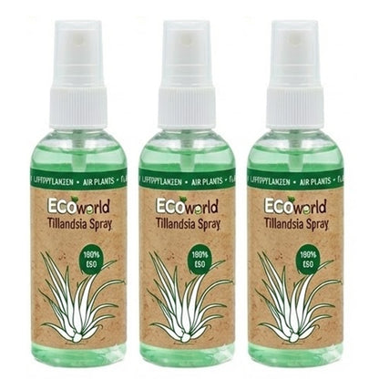 Tillandsia Spray 3 Unidades - Cuidado - Plantas De Aire_0