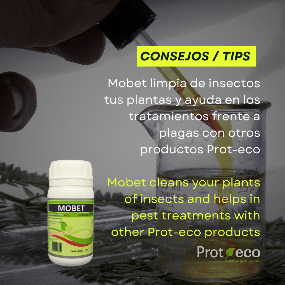 Jabón potásico ecológico para pulgón y cochinilla en plantas Mobet Prot-eco 100 ml + pipeta dosificadora 5 ml gratis_2