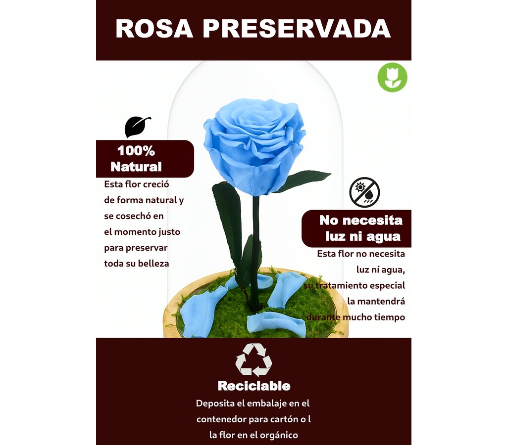Mundo Eterno Rosa En Cúpula Azul Claro 12x20cm_3