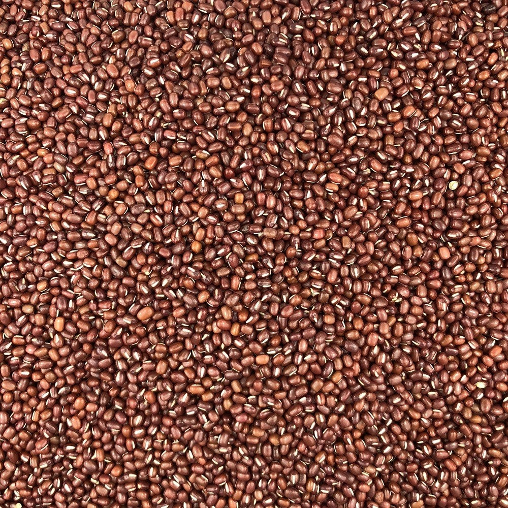 Judía Azuki Ecológica Granel 0,25 Kg_2