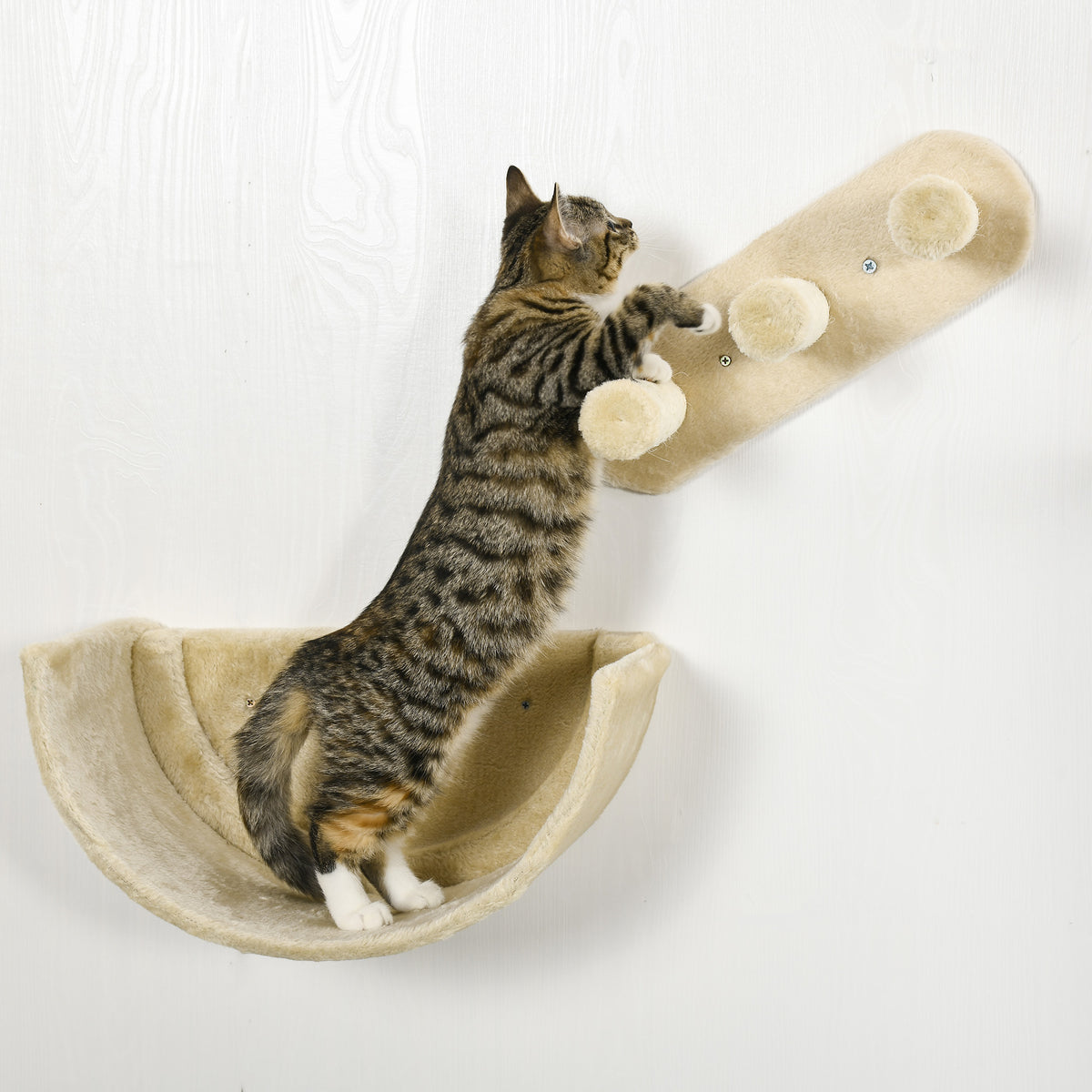 Pawhut Estante De Escalada Para Gatos De Pared Con Hamaca Nido Plataformas Beige_3