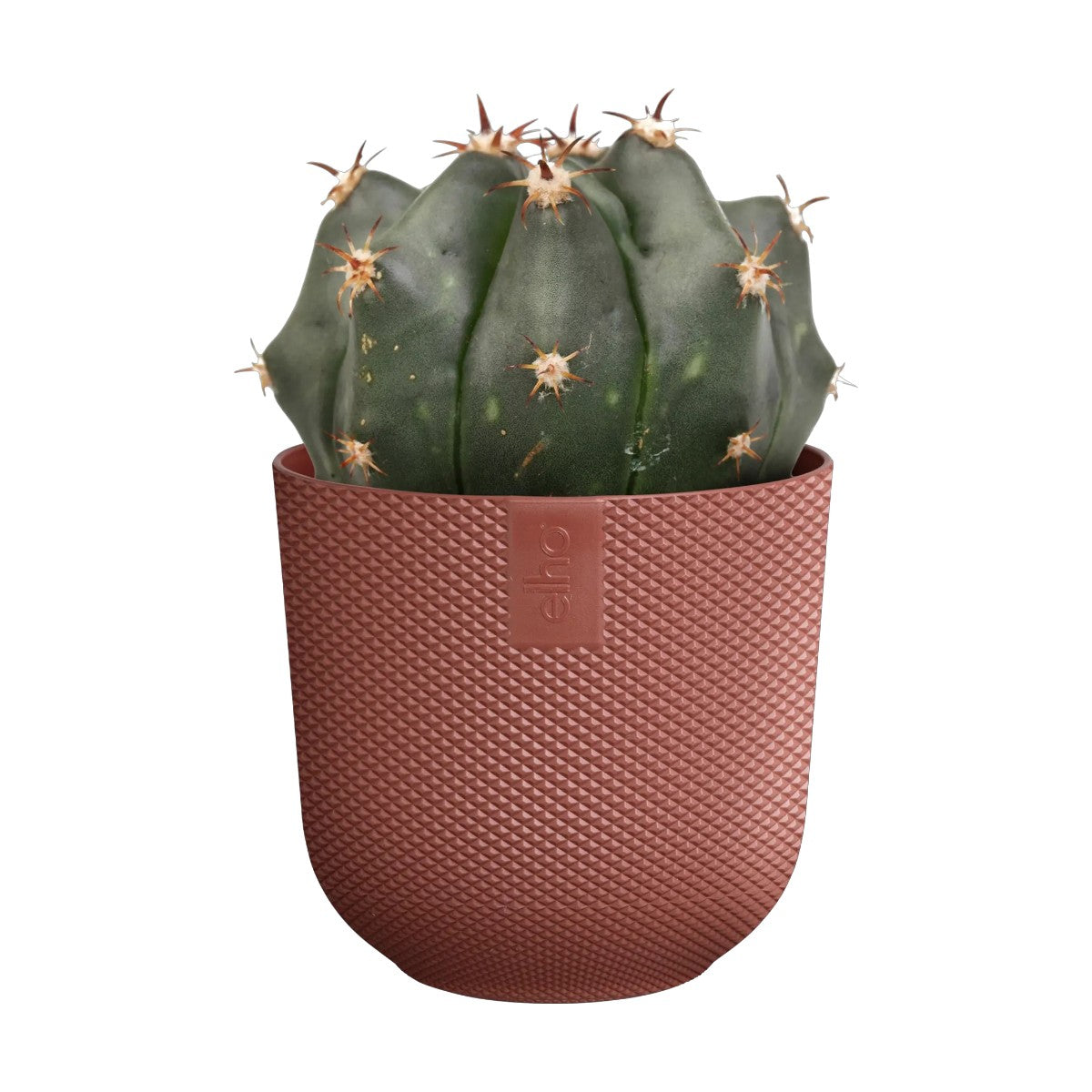 Maceta Rojo Toscana Jazz Round Mini Elho 9cm 100% reciclado