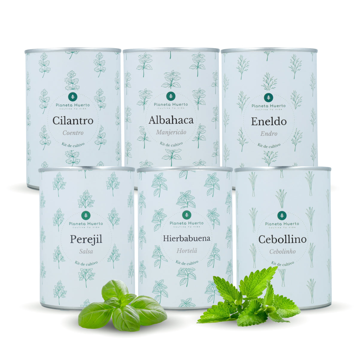 Pack Kits de cultivo aromáticas Planeta Huerto
