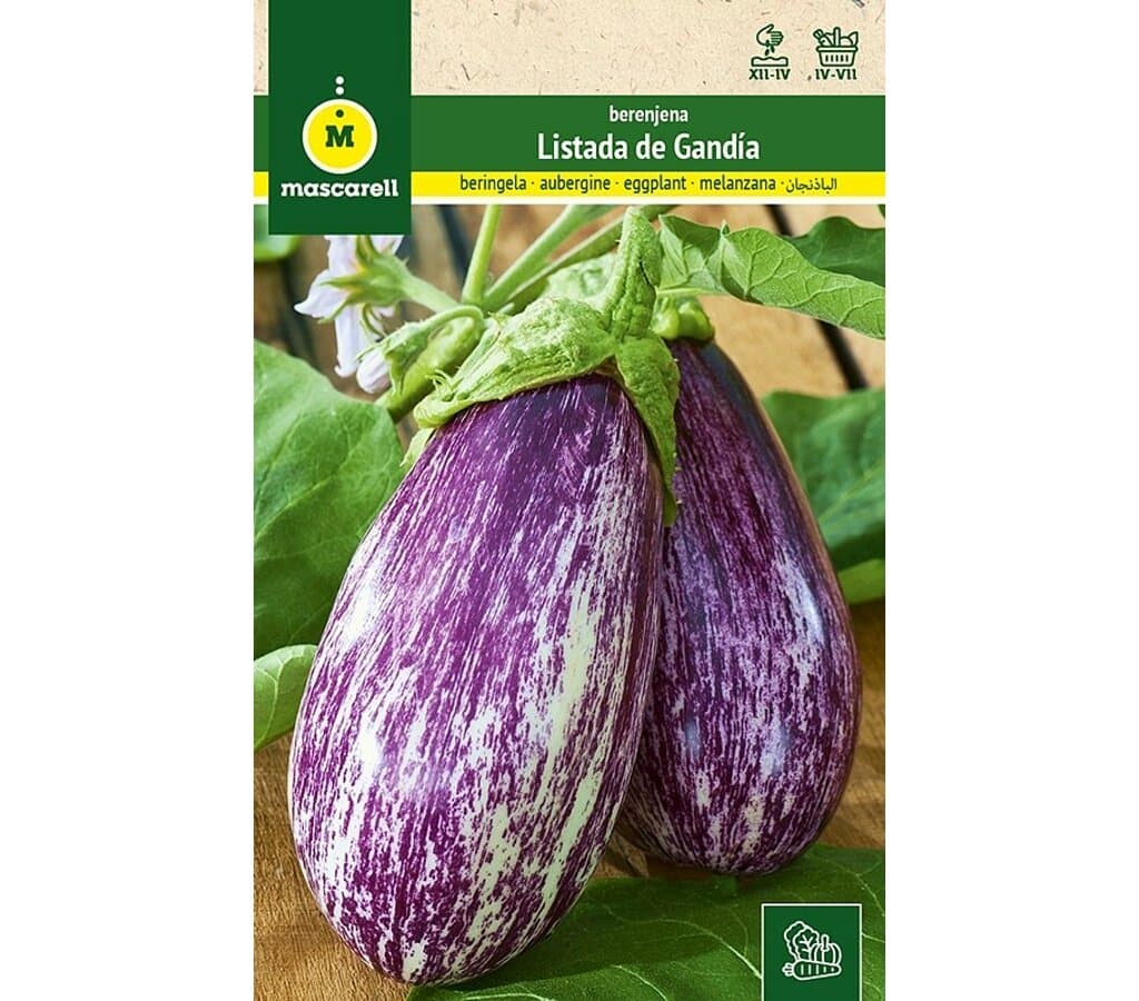 Semillas Berenjena (listada De Gandía)_0