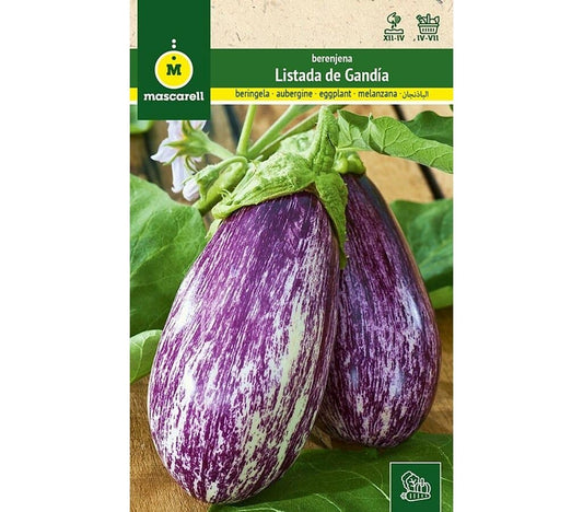 Semillas Berenjena (listada De Gandía)_0