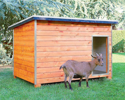 Gallinero Para Pavos Y Otras Grandes Aves - Caseta Para Animales - Refugio Para Cabras Y Ovejas_1