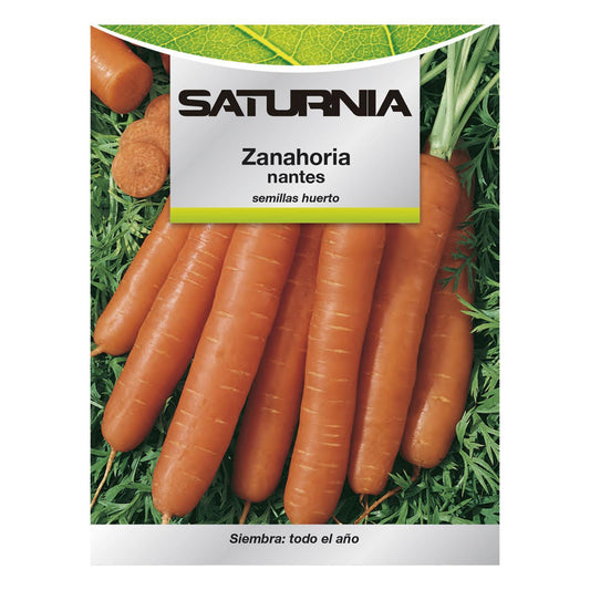 Semillas Zanahoria Nantes Temprana (7 Gramos). Semillas Verduras, Horticultura, Horticola, Semillas Huerto._0