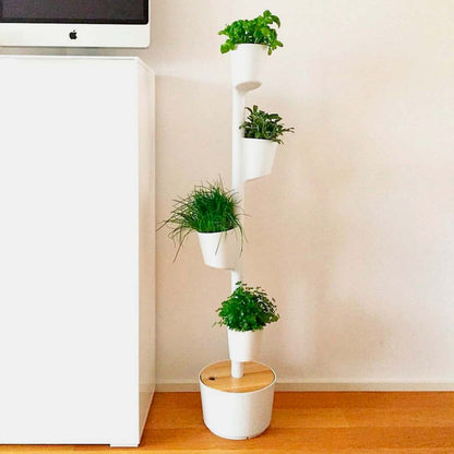 Huerto Vertical De Interior Citysens 4 Macetas, Riego Automático Y Semillas Aromáticas – Blanco, Polipropileno Reciclado_2