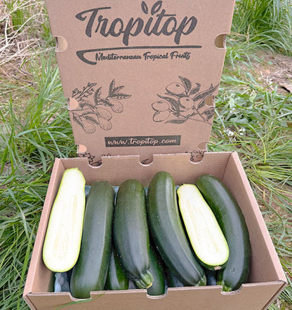Caja De Calabacín Negro De Temporada Tropitop Caja De 2kg_1