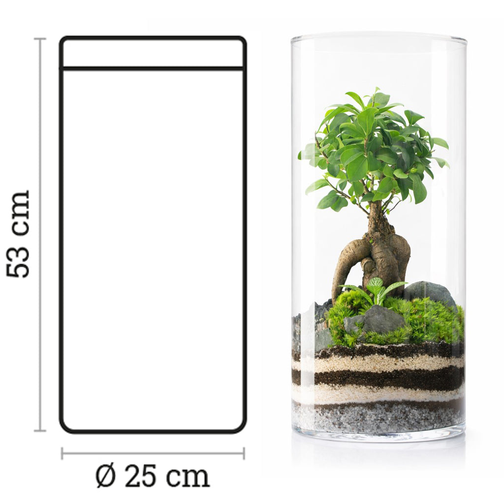 Terrario Amazonia Tower 25x52 Cm_2
