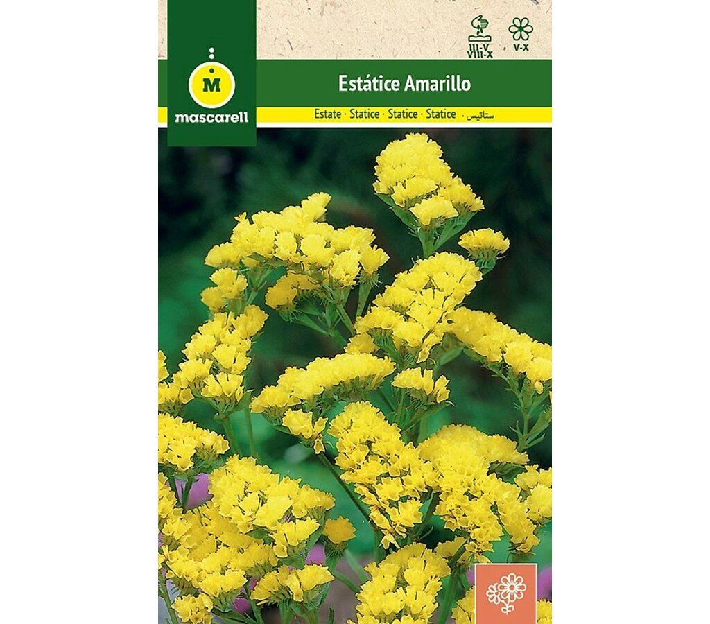 Semillas Estatice Sinuata Amarillo_0