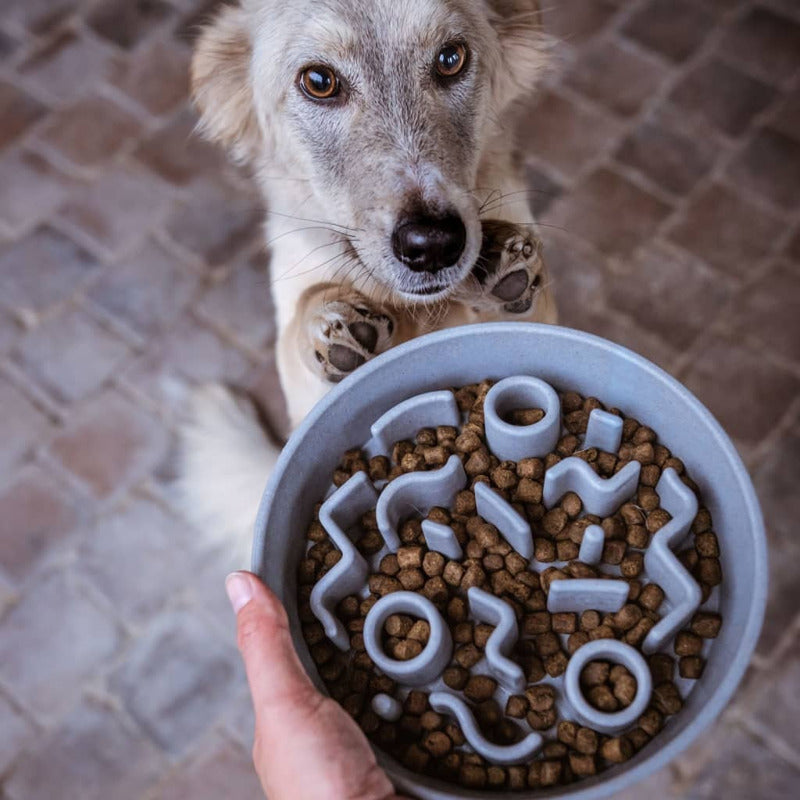District70 Comedero Lento Para Perros Bambú Azul Cielo 28 Cm_1