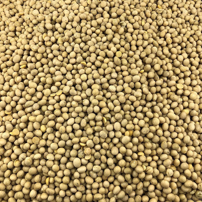 Soja Amarilla Ecológica Granel 5 Kg_2