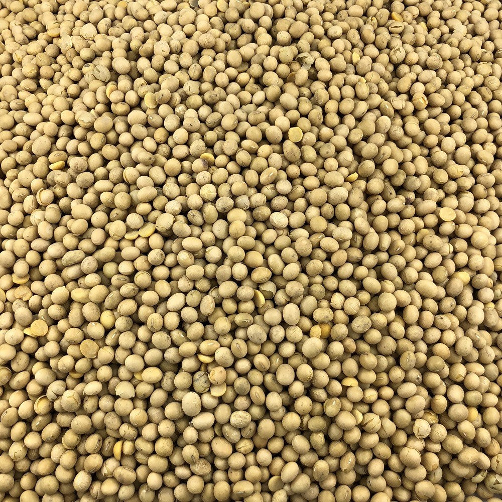 Soja Amarilla Ecológica Granel 0,5 Kg_2