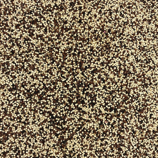 Harina De Coco Ecológica Granel 1 Kg_0