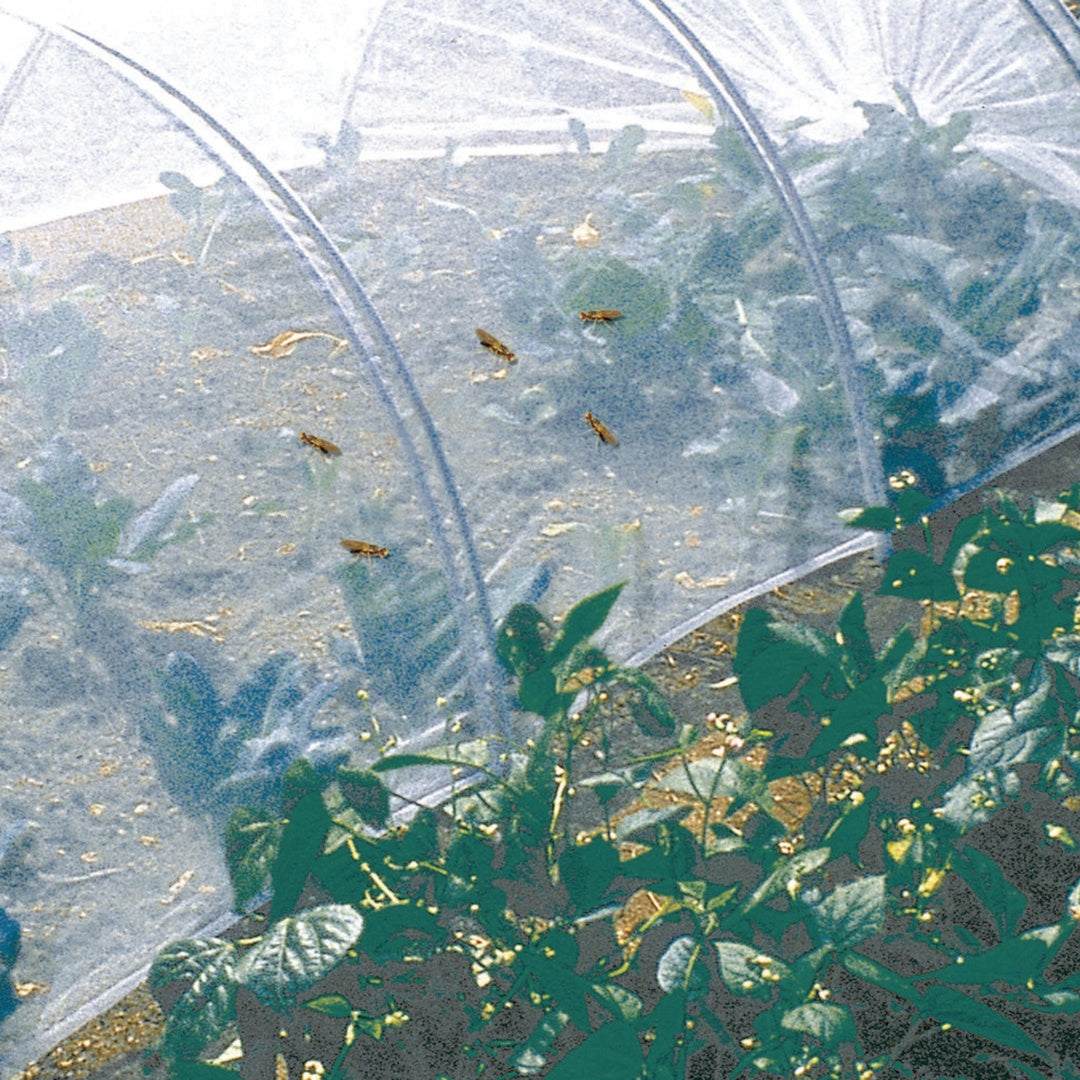 Malla Antiinsectos Biocontrol 2,20x10 M Blanco Nortene_1