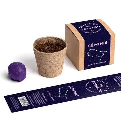 Cultivos del Zodiaco – Géminis, Kit de Cultivo con Semillas de Romero - Resetea_2