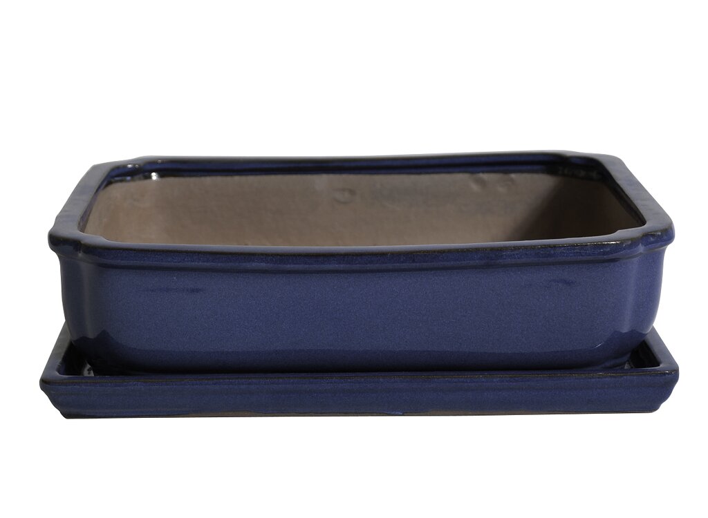 Tiesto Laxe Azul Con Plato 31x25x9cm_0