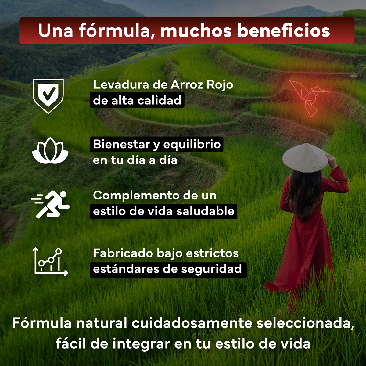 Pack 2x Levadura Arroz Rojo Sevens Nutrition. Con Monacolina K Y Coenzima Q10_2