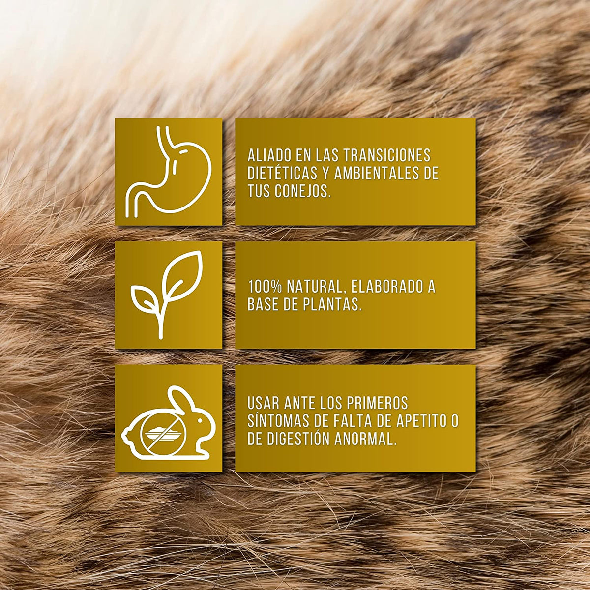 Cunidigest – Complemento Nutricional Líquido (250ml) Para Conejos – Apoyo Digestivo En Periodos Sensibles_1