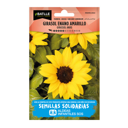 Semillas de Girasol enano amarillo BatlleBio ALDEAS INFANTILES