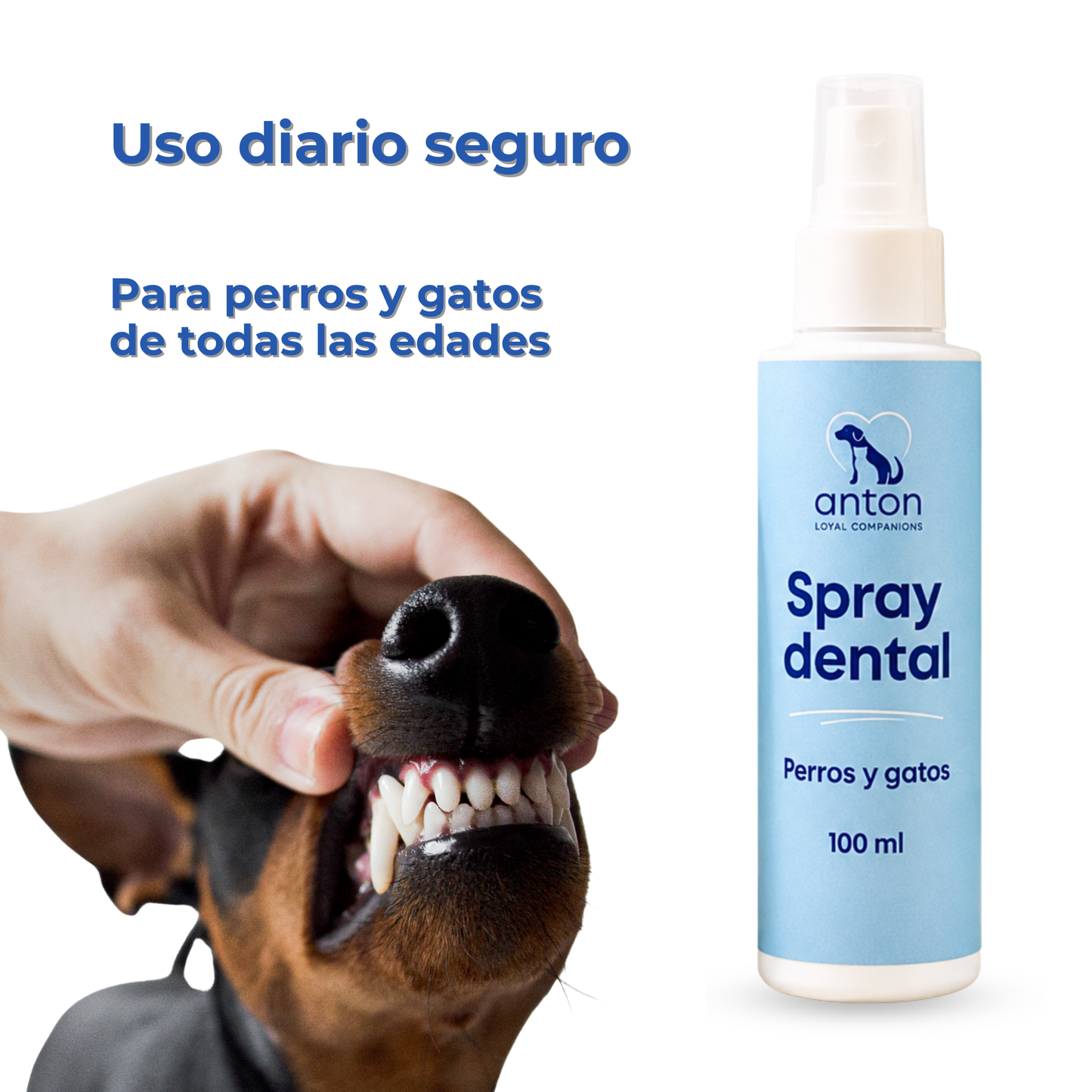 Spray dental natural para la higiene bucal diaria de perros y gatos – 100 ml_4