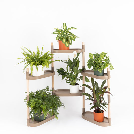 Soporte Modular Citysens De 6 Bandejas – Color Corteza De Pino, Polipropileno 100% Reciclado Y Madera Ecológica Pefc_0