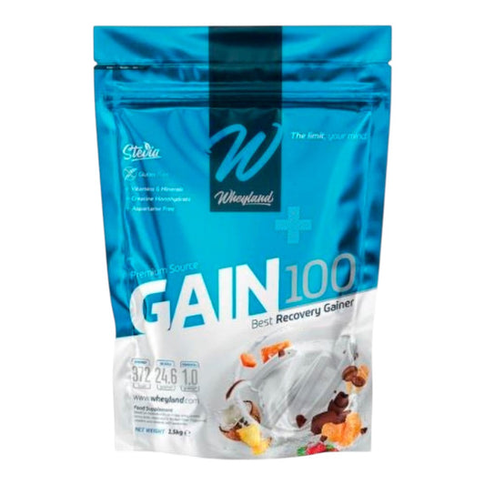 Gain 100 3 Kg Galleta_0