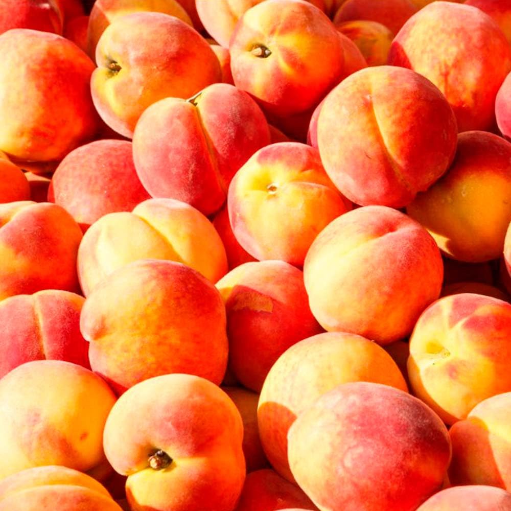 Pack Ahorro 3x Fragancias Para Lámpara Catalítica: 2 Aromas Peach Velvet 500ml + Limpiador Neutro 200ml_2