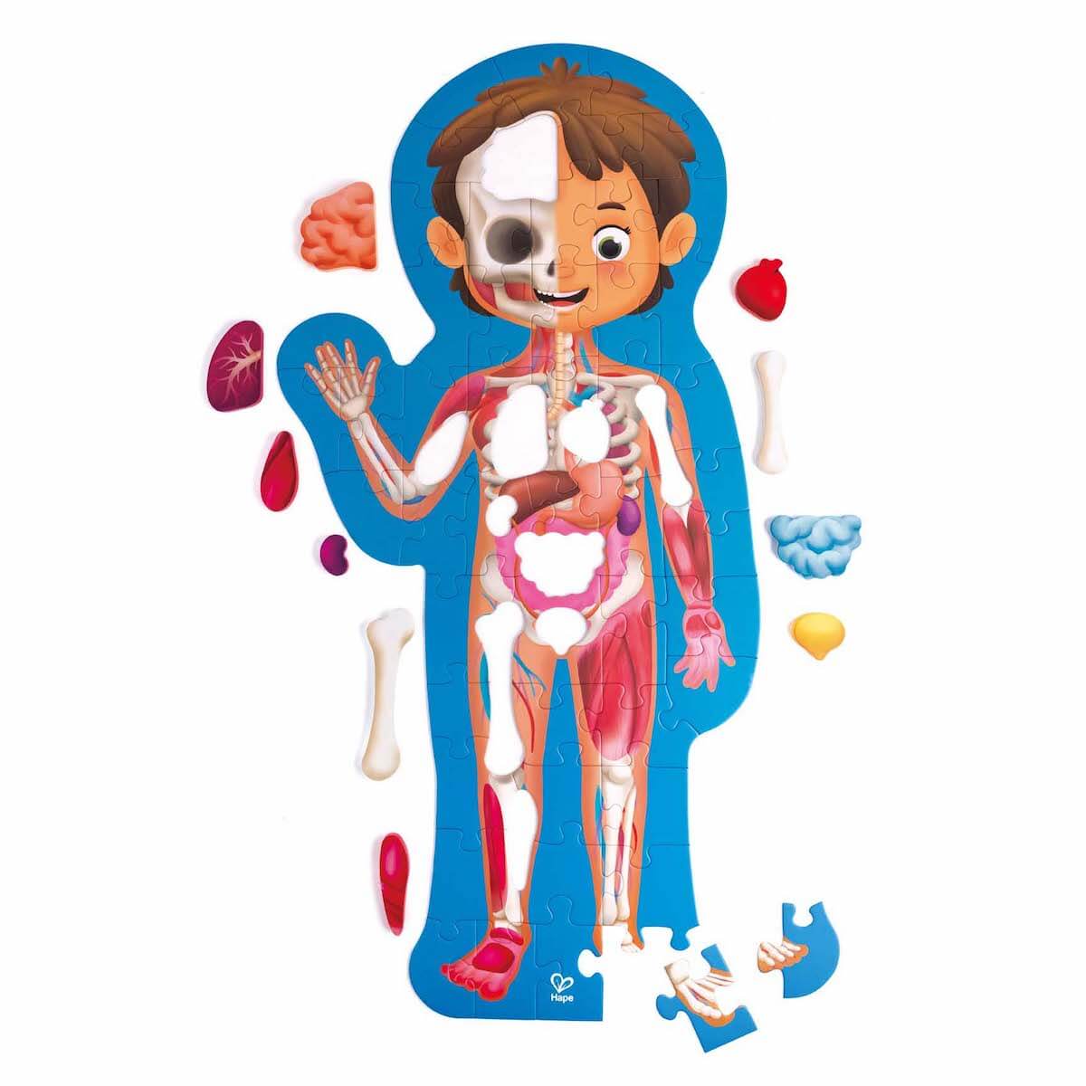 Puzzle 60pzas Human Body Hape_3