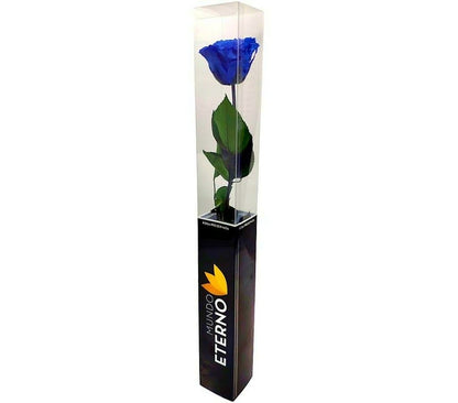Mundo Eterno Rosa Preservada Azul Oscuro 25cm_1