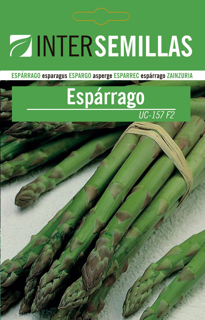 Sobre De Semillas De Esparragos Uc_0