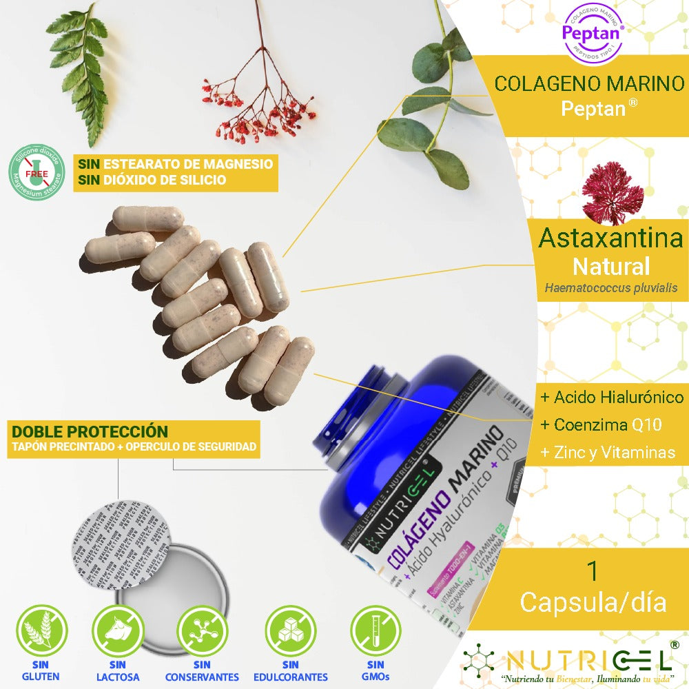 Colágeno marino Peptan® + Ácido hialurónico + CoQ10 Nutricel 120 cápsulas