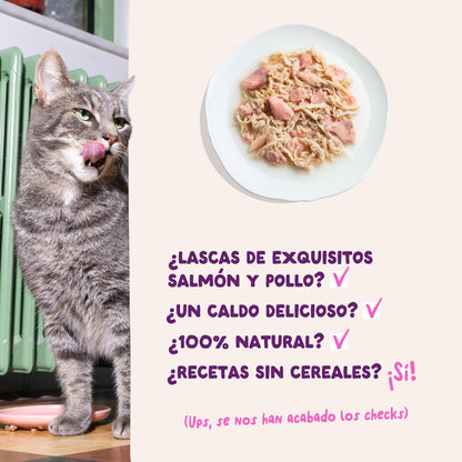 Filetes de salmón y pollo para gatos Edgard &amp; Cooper 70 g