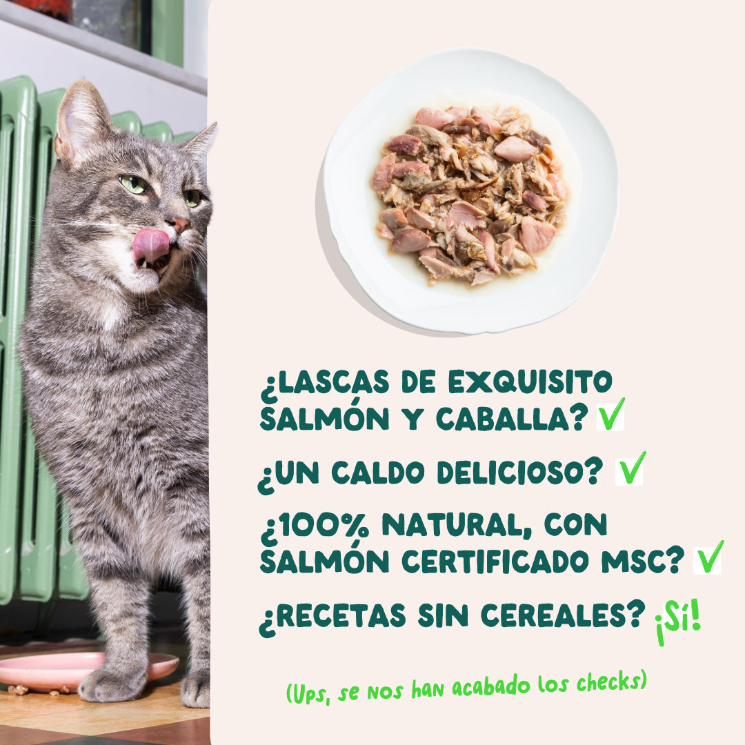 Filetes de salmón y caballa para gatos Edgard & Cooper 70 g