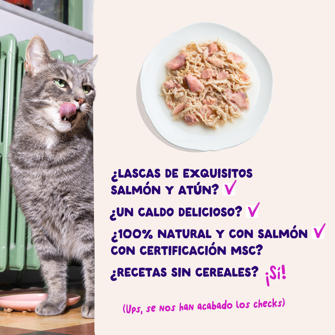 Filetes de salmón y atún para gatos Edgard & Cooper 70 g