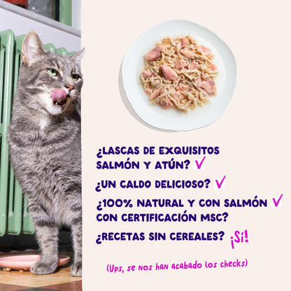 Filetes de salmón y atún para gatos Edgard &amp; Cooper 70 g