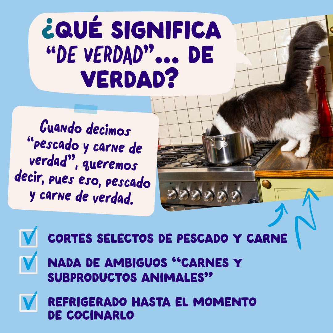 Sobres de comida húmeda para gatos Captura del Día Selección de Pescado en Salsa | Edgard & Cooper 85 g