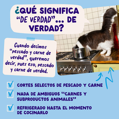 Sobres de comida húmeda para gatos Captura del Día Selección de Pescado en Salsa | Edgard &amp; Cooper 85 g