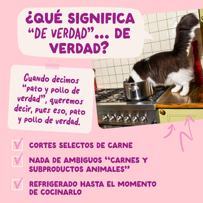 Sobres para gatitos Pato &amp; Pollo en Salsa | Edgard &amp; Cooper 85 g