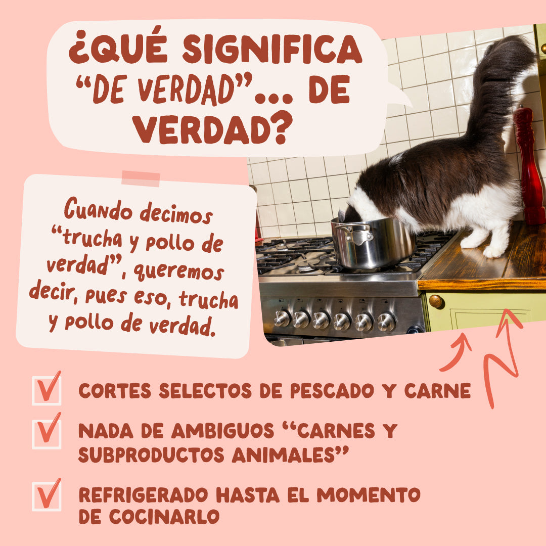 Sobre de Comida Húmeda Trucha & Pollo en Salsa para Gatos Edgard & Cooper 85 g